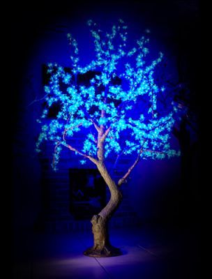 Световое дерево Баухиния